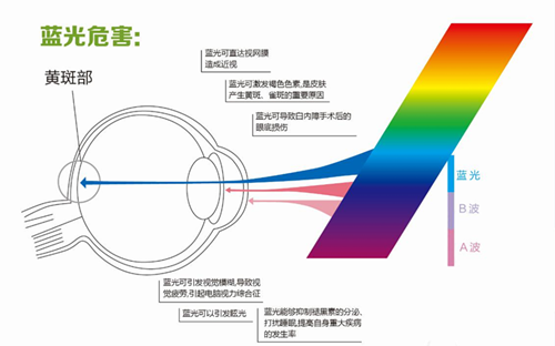 图片10_副本.png
