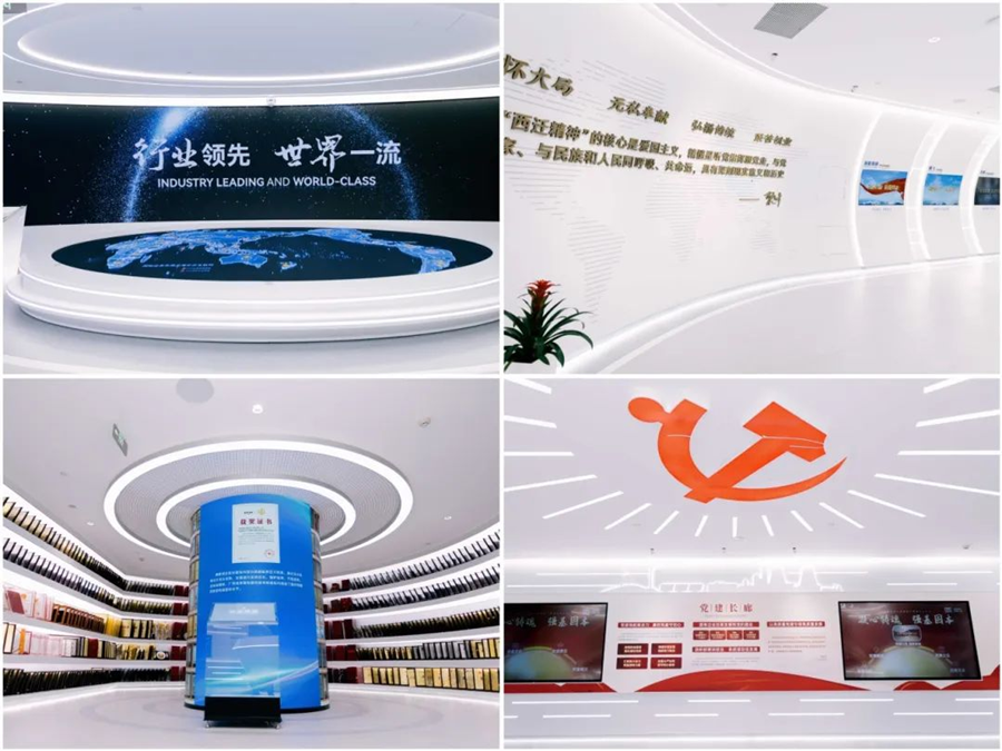 图片15_副本.png